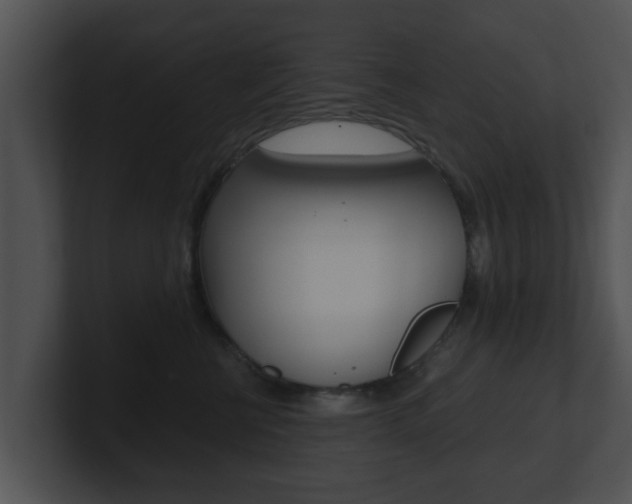 X0000100900570200806241033