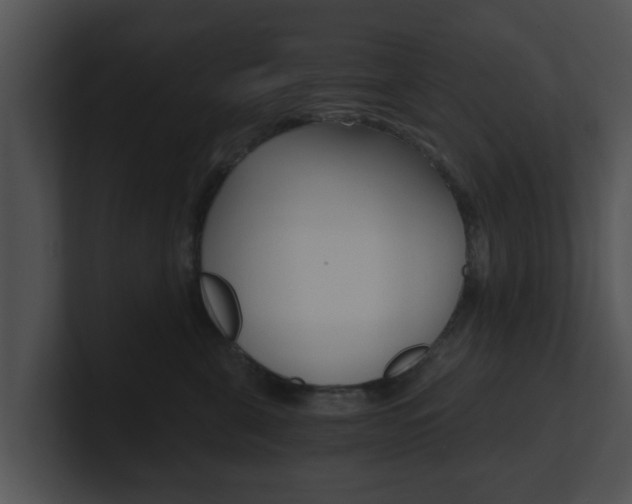 X0000100900571200806241033