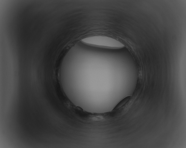 X0000100900572200806241033
