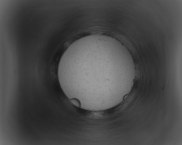 X0000100900573200806241033