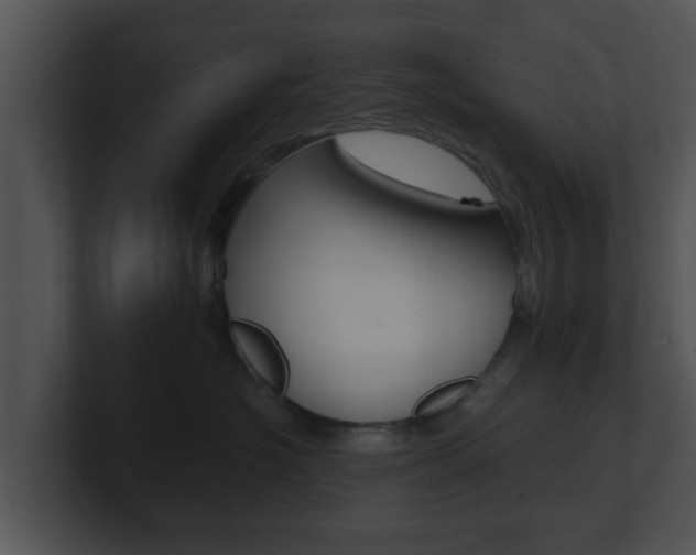 X0000100900574200806241033
