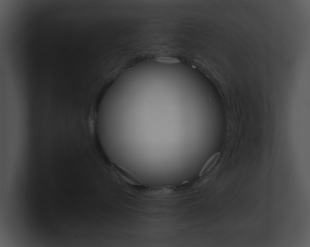 X0000100900576200806241033