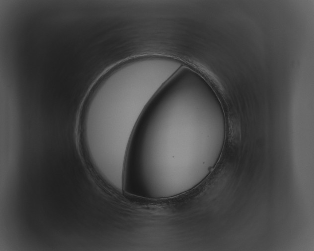 X0000100900580200806241032