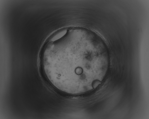 X0000100900584200806241032