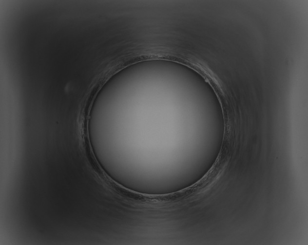 X0000100900585200806241032