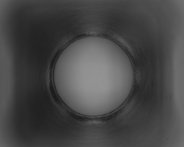 X0000100900586200806241032