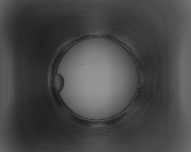 X0000100900587200806241032