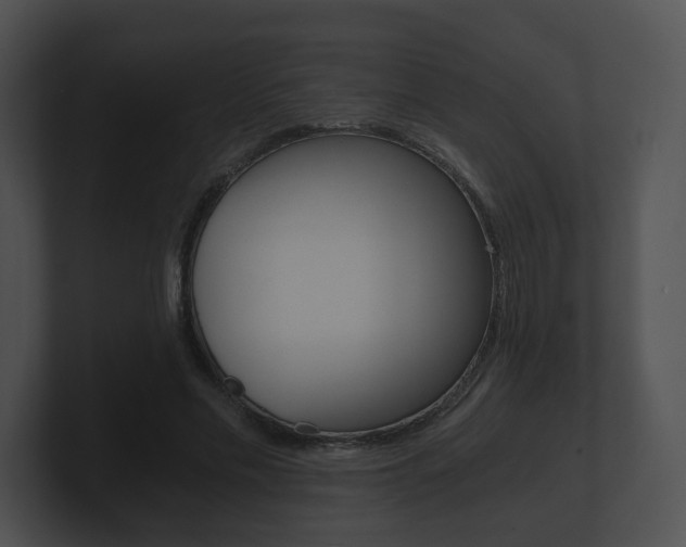 X0000100900589200806241032