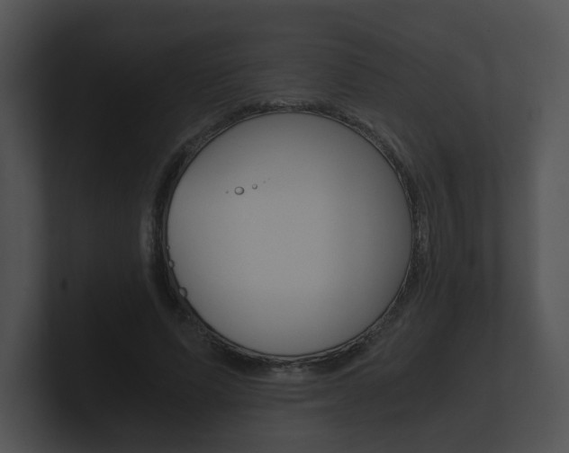 X0000100900591200806241032