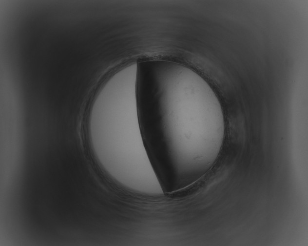 X0000100900592200806241032