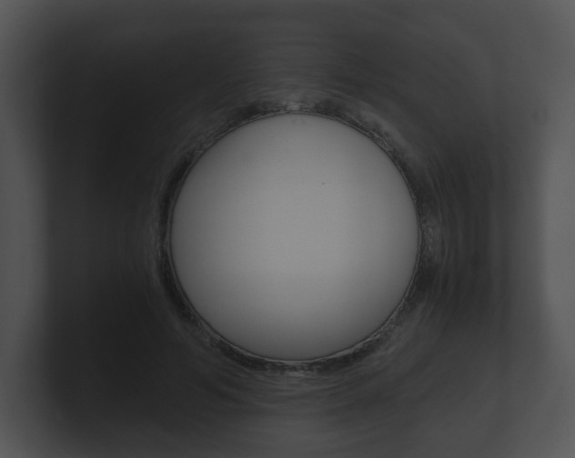 X0000100900594200806241032