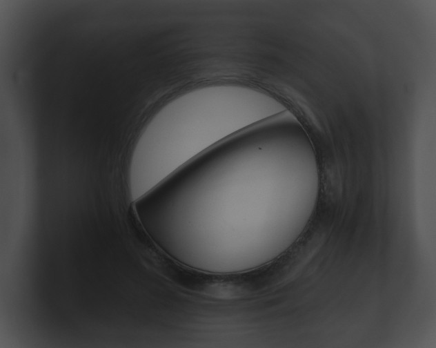 X0000100900596200806241032