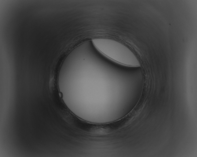 X0000100900597200806241032
