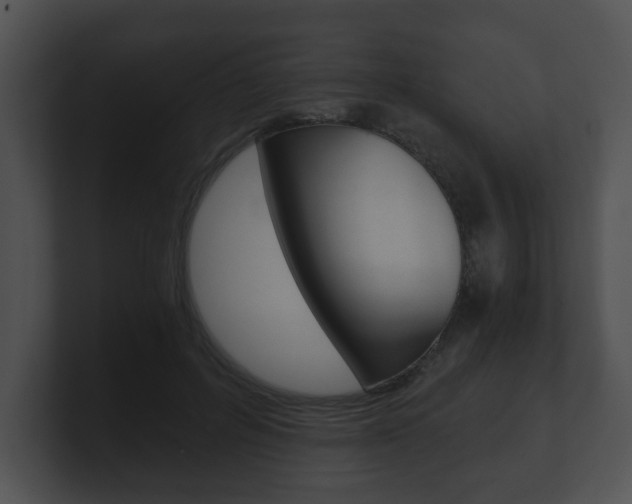 X0000100900600200806241032