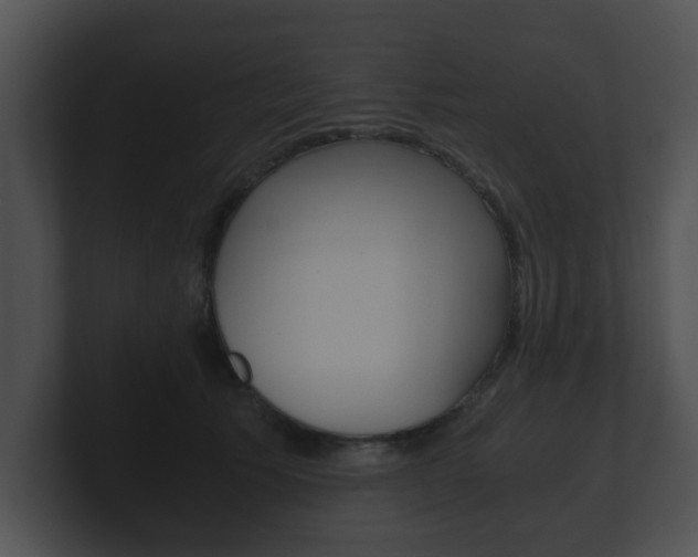 X0000100900609200806241032