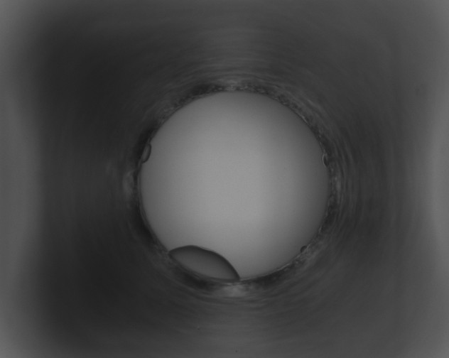 X0000100900611200806241032