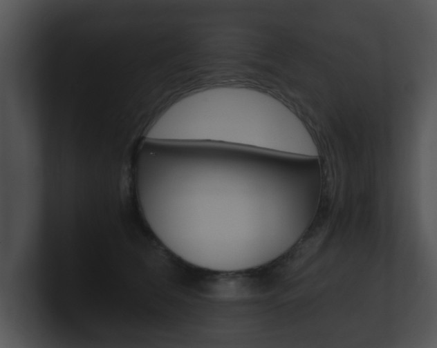 X0000100900612200806241032