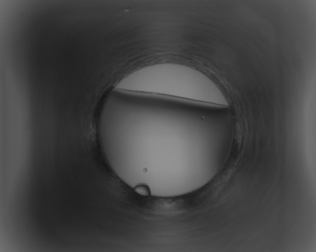 X0000100900613200806241032