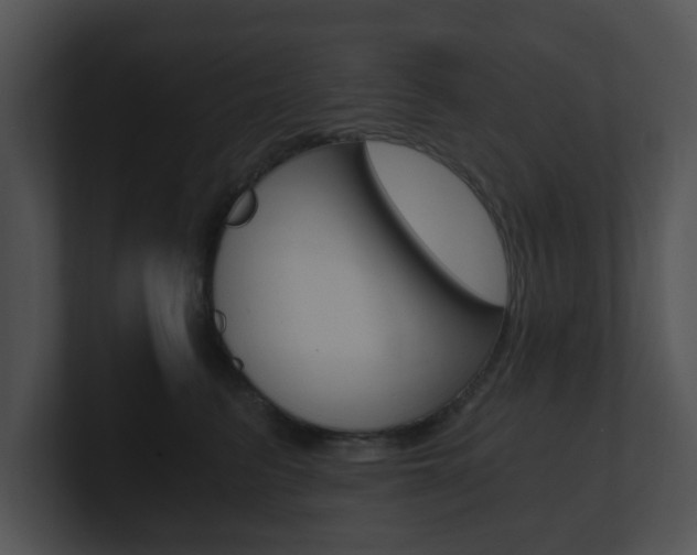 X0000100900615200806241032