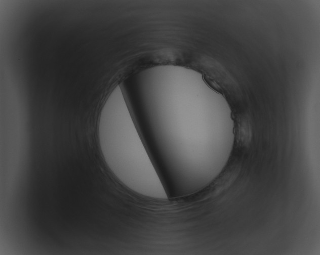 X0000100900616200806241032