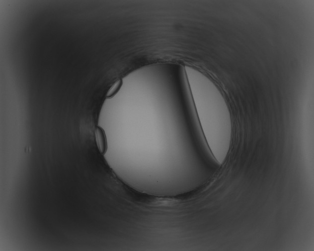 X0000100900617200806241032