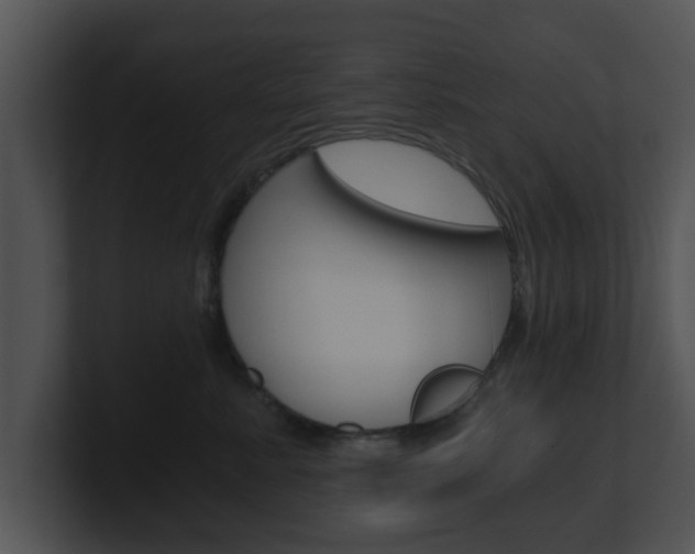X0000100900619200806241032