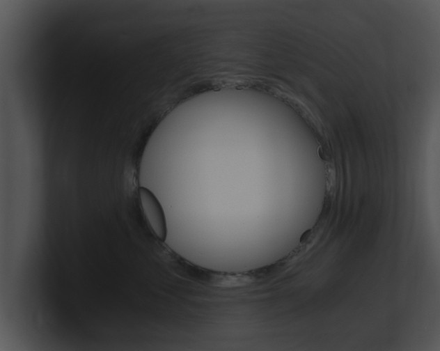 X0000100900621200806241032