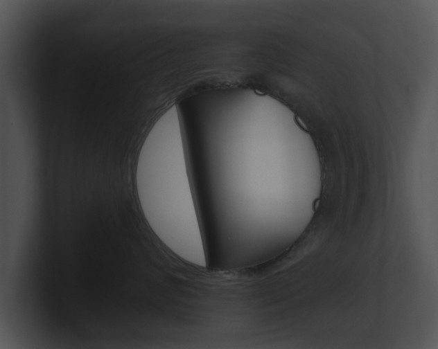 X0000100900624200806241032