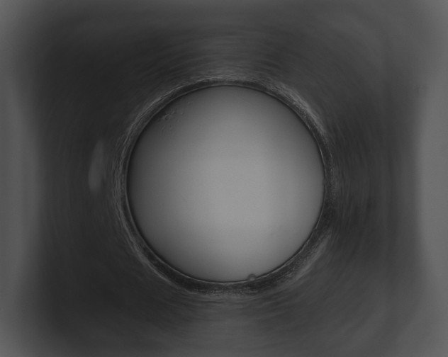X0000100900625200806241031