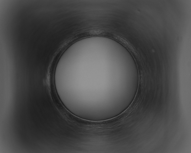 X0000100900626200806241031
