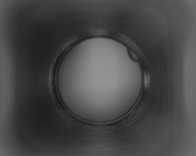 X0000100900627200806241031