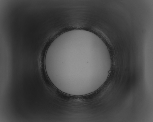 X0000100900635200806241031