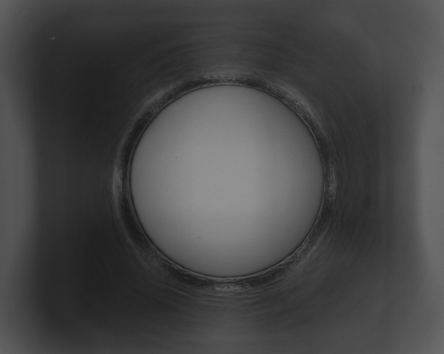 X0000100900636200806241031