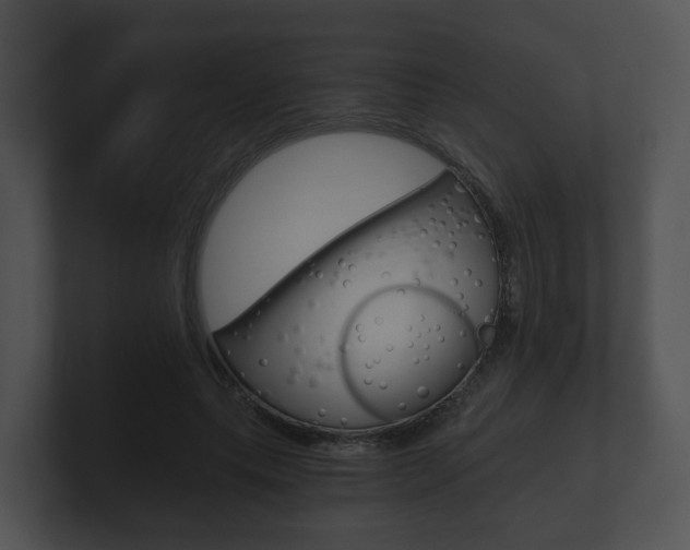 X0000100900639200806241031