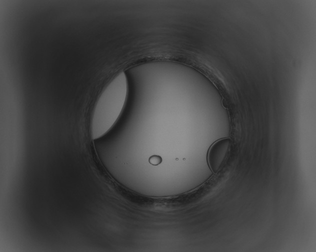 X0000100900641200806241031
