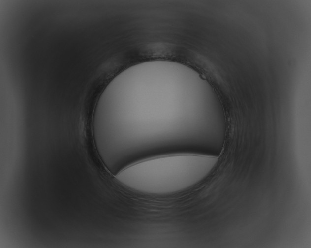 X0000100900643200806241031