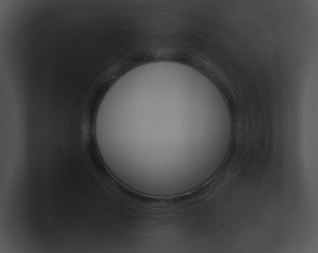 X0000100900644200806241031