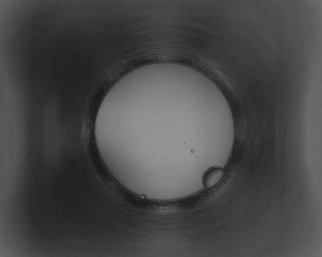 X0000100900645200806241031