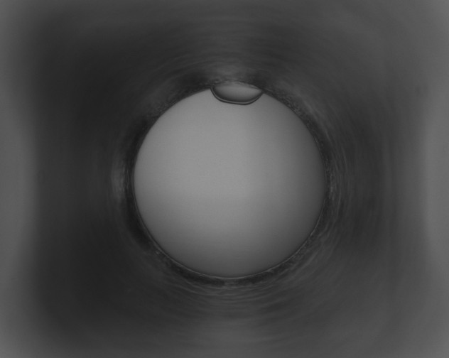 X0000100900647200806241031