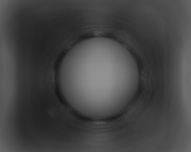 X0000100900650200806241031