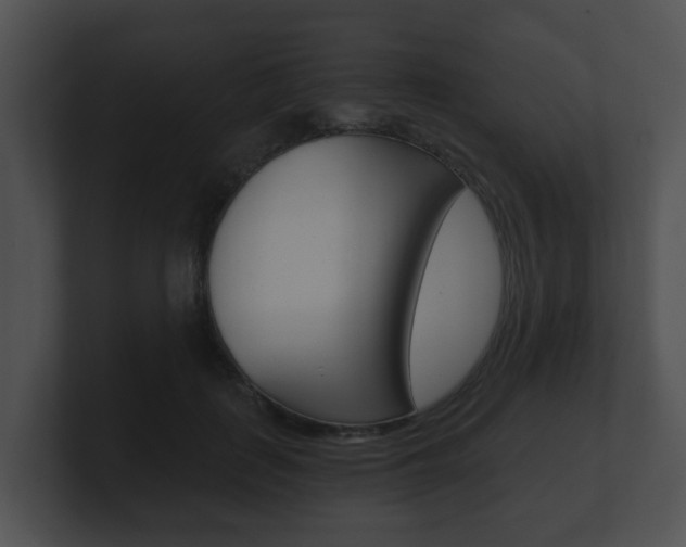 X0000100900651200806241031