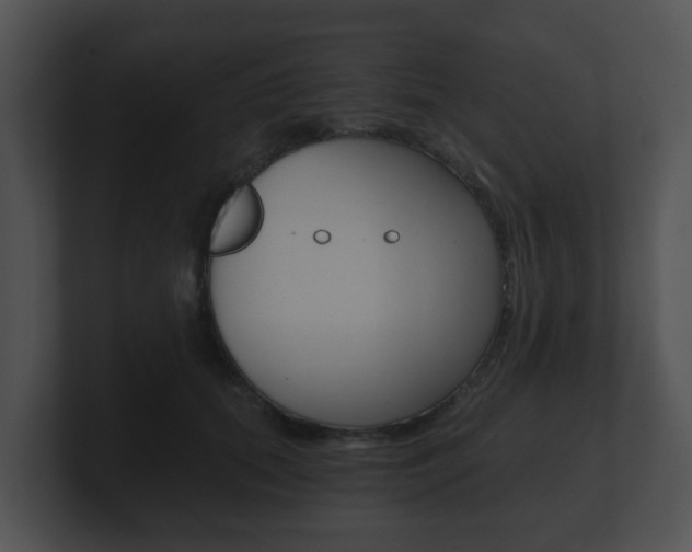 X0000100900655200806241031