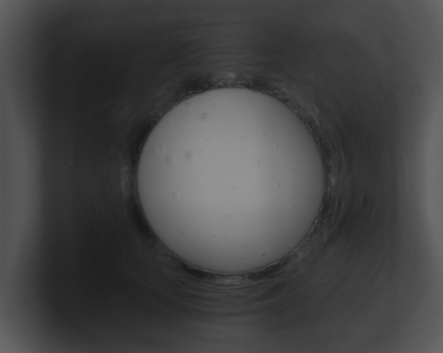 X0000100900659200806241031