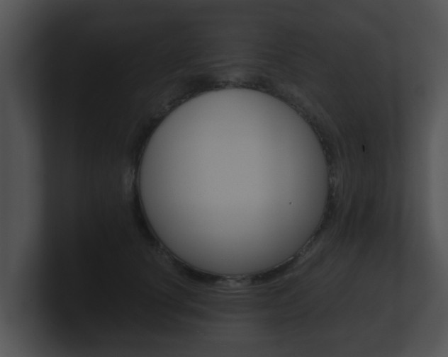 X0000100900660200806241031
