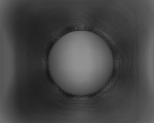 X0000100900661200806241031