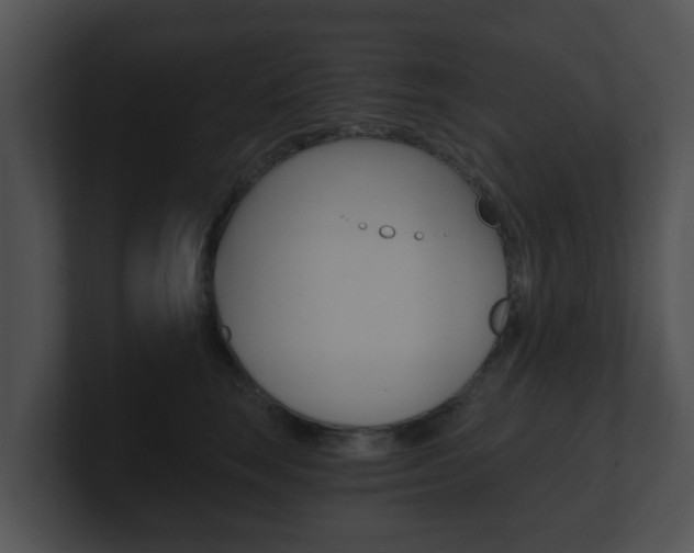 X0000100900663200806241031