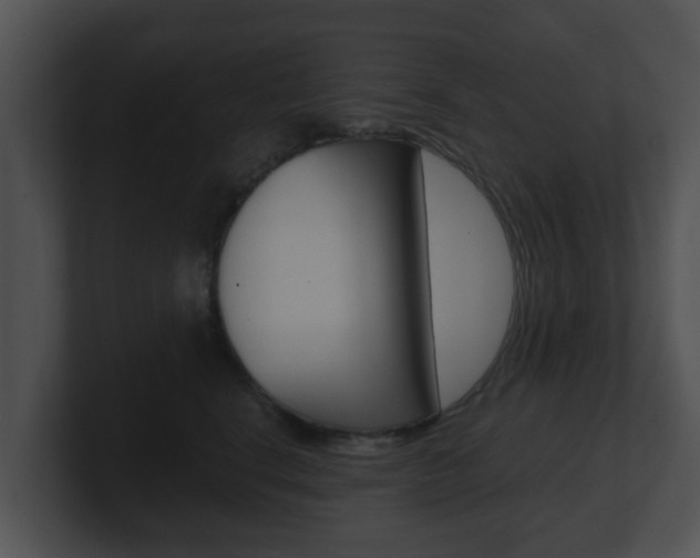 X0000100900664200806241031