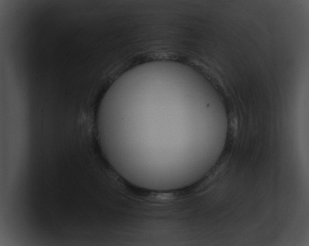 X0000100900665200806241031