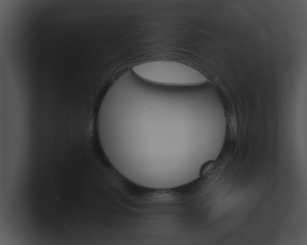 X0000100900668200806241031
