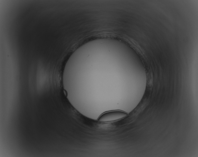 X0000100900669200806241032